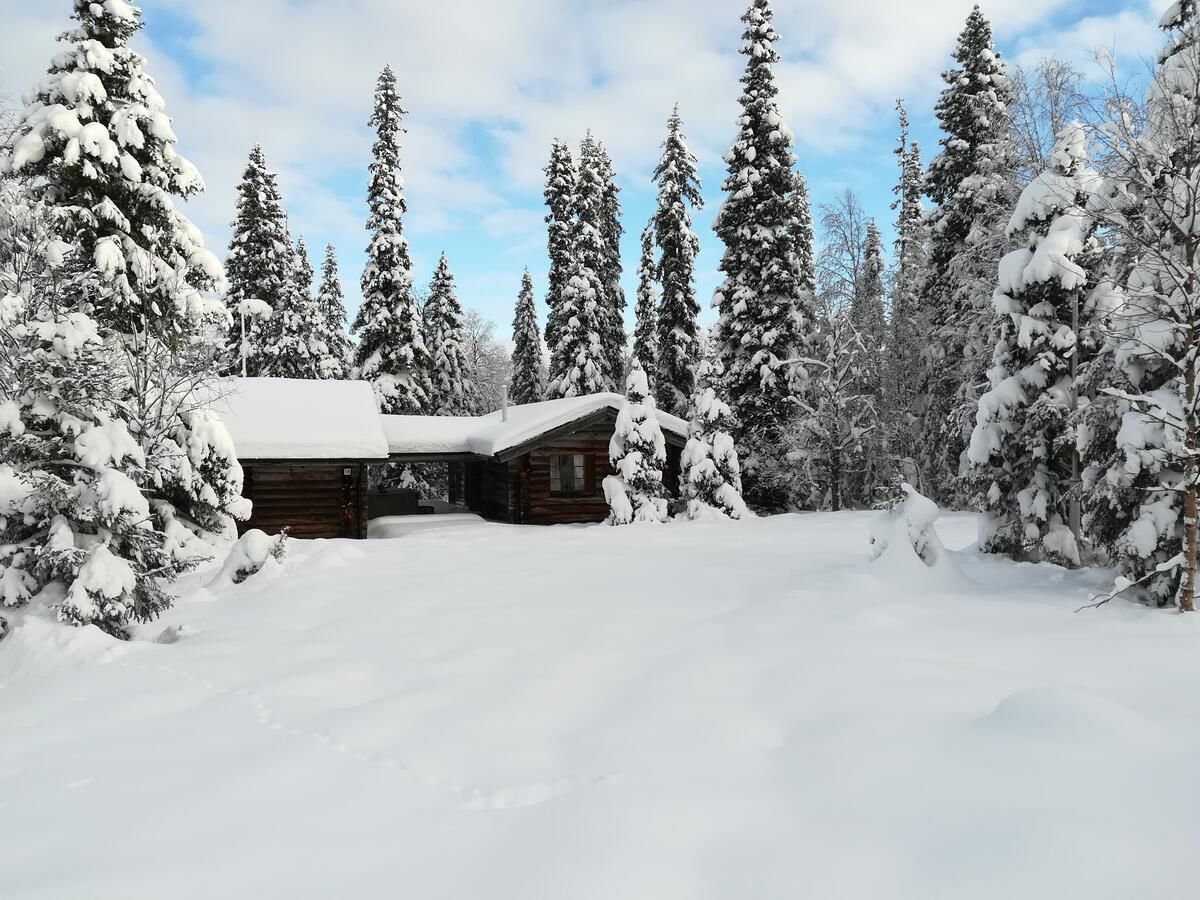 Мини-отель Tunturipöllö Guesthouse Луосто-4