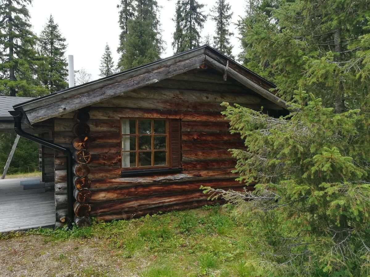 Мини-отель Tunturipöllö Guesthouse Луосто-15