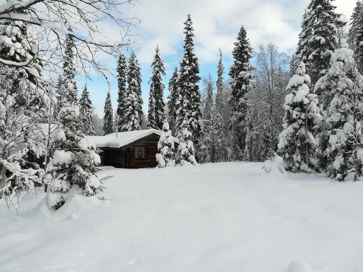 Мини-отель Tunturipöllö Guesthouse Луосто-6