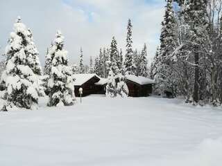 Мини-отель Tunturipöllö Guesthouse Луосто-1