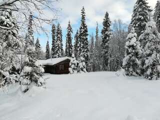 Мини-отель Tunturipöllö Guesthouse Луосто-2